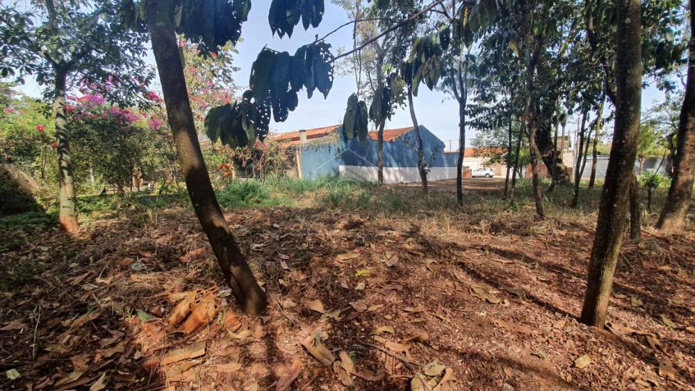 Comprar Terreno / Padrão em Ribeirão Preto apenas R$ 140.000,00 - Foto 2 Comprar Terreno / Padrão em Ribeirão Preto apenas R$ 140.000,00 - Foto 2