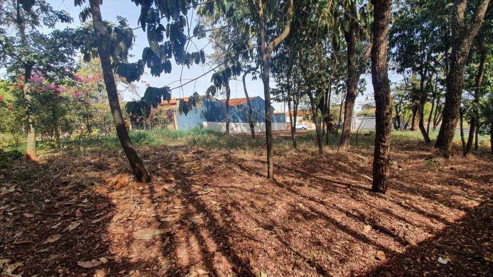 Comprar Terreno / Padrão em Ribeirão Preto apenas R$ 140.000,00 - Foto 3 Comprar Terreno / Padrão em Ribeirão Preto apenas R$ 140.000,00 - Foto 3