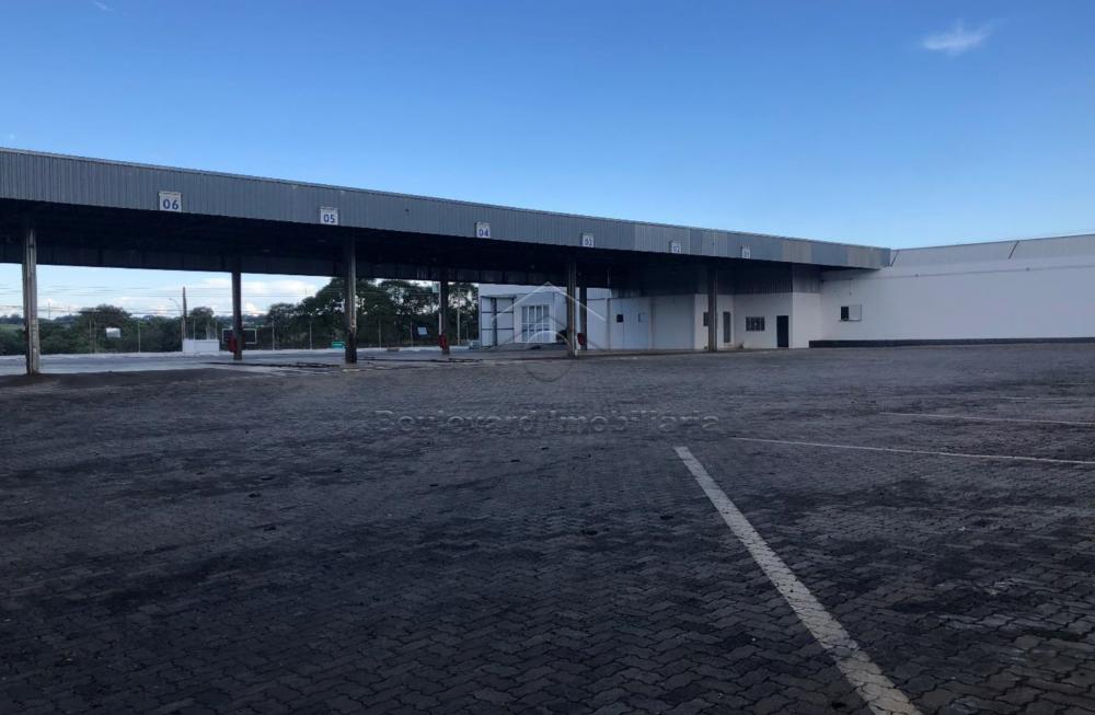 Alugar Comercial / Galpão em Ribeirão Preto R$ 45.000,00 - Foto 5 Alugar Comercial / Galpão em Ribeirão Preto R$ 45.000,00 - Foto 5