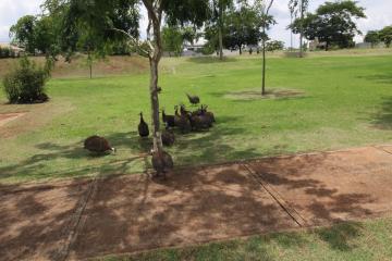 Comprar Casa / Condomínio em Ribeirão Preto R$ 1.380.000,00 - Foto 39 Comprar Casa / Condomínio em Ribeirão Preto R$ 1.380.000,00 - Foto 39