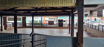 Alugar Comercial / Ponto Comercial em Ribeirão Preto R$ 25.000,00 - Foto 1 Alugar Comercial / Ponto Comercial em Ribeirão Preto R$ 25.000,00 - Foto 1