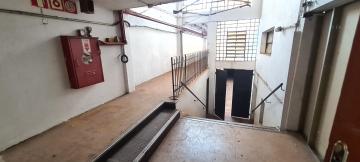 Alugar Comercial / Loja em Ribeirão Preto R$ 12.000,00 - Foto 4 Alugar Comercial / Loja em Ribeirão Preto R$ 12.000,00 - Foto 4