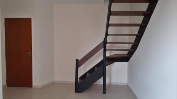 Alugar Apartamento / Duplex em Ribeirão Preto R$ 700,00 - Foto 4 Alugar Apartamento / Duplex em Ribeirão Preto R$ 700,00 - Foto 4