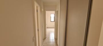 imagem 5 - ALUGAR APARTAMENTO COM 3 QUARTOS NO JARDIM NOVA ALIANÇA SUL EM RIBEIRÃO PRETO imagem 5 - ALUGAR APARTAMENTO COM 3 QUARTOS NO JARDIM NOVA ALIANÇA SUL EM RIBEIRÃO PRETO