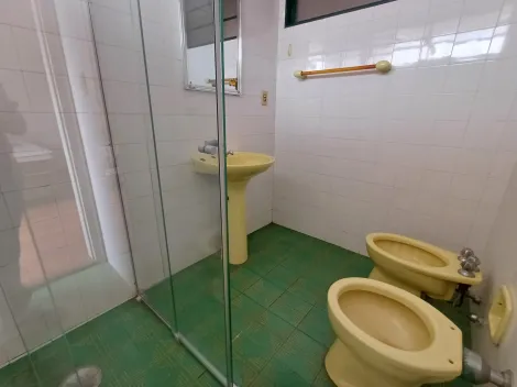 Apartamento Padrão - Centro Residencial para Locação em Ribeirão Preto - SP.