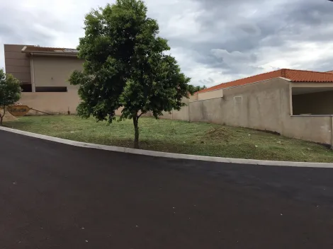 imagem 3 - Compre esse terreno perfeito em Condomínio Ribeirão Preto imagem 3 - Compre esse terreno perfeito em Condomínio Ribeirão Preto