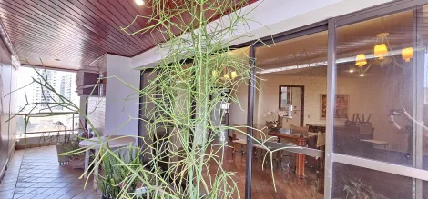 imagem 2 - ALUGAR APARTAMENTO COM 3 QUARTOS NO CENTRO EM RIBEIRÃO PRETO imagem 2 - ALUGAR APARTAMENTO COM 3 QUARTOS NO CENTRO EM RIBEIRÃO PRETO