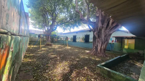 imagem 4 - Alugar casa comercial no Jardim Sumaré em Ribeirão Preto imagem 4 - Alugar casa comercial no Jardim Sumaré em Ribeirão Preto