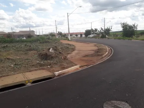 imagem 4 - COMPRAR TERRENO NO BAIRRO JARDIM CRISTO REDENTOR EM RIBEIRÃO PRETO imagem 4 - COMPRAR TERRENO NO BAIRRO JARDIM CRISTO REDENTOR EM RIBEIRÃO PRETO