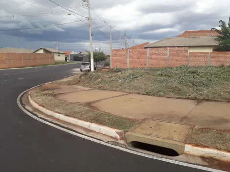 imagem 5 - COMPRAR TERRENO NO BAIRRO JARDIM CRISTO REDENTOR EM RIBEIRÃO PRETO imagem 5 - COMPRAR TERRENO NO BAIRRO JARDIM CRISTO REDENTOR EM RIBEIRÃO PRETO