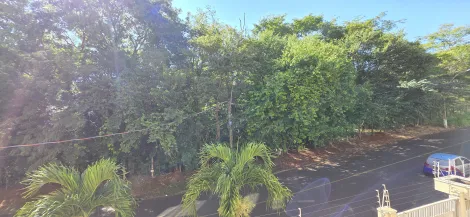 imagem 2 - COMPRAR APARTAMENTO COM 2 SUÍTES NO JARDIM BOTÂNICO EM RIBEIRÃO PRETO imagem 2 - COMPRAR APARTAMENTO COM 2 SUÍTES NO JARDIM BOTÂNICO EM RIBEIRÃO PRETO