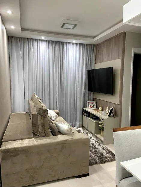 imagem 1 - COMPRAR APARTAMENTO COM 2 QUARTOS NO JARDIM PAULISTANO EM RIBEIRÃO PRETO imagem 1 - COMPRAR APARTAMENTO COM 2 QUARTOS NO JARDIM PAULISTANO EM RIBEIRÃO PRETO